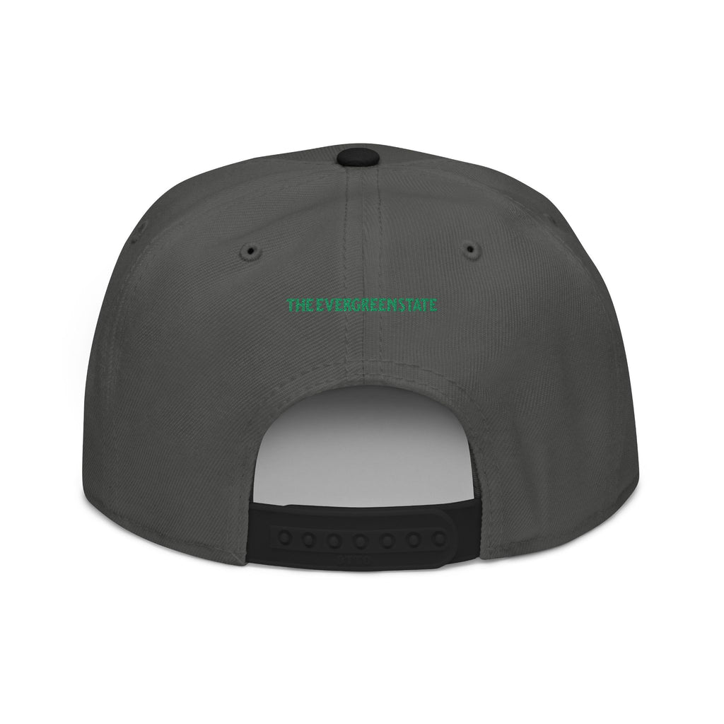 Washington License Plate Snapback Hat — Embroidered "Washington" Ombre Logo