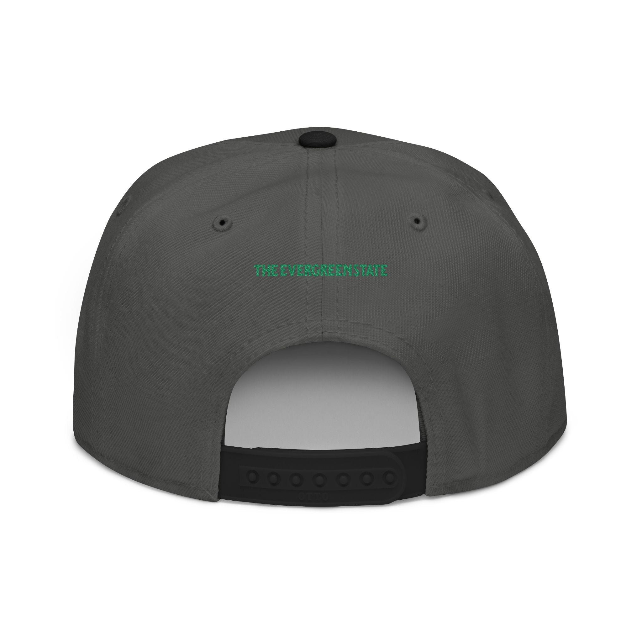 Washington License Plate Snapback Hat — Embroidered "Washington" Ombre Logo