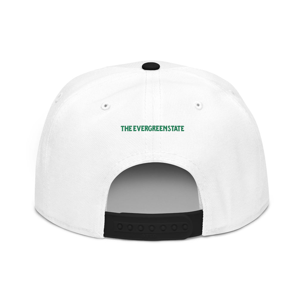 Washington License Plate Snapback Hat — Embroidered "Washington" Ombre Logo
