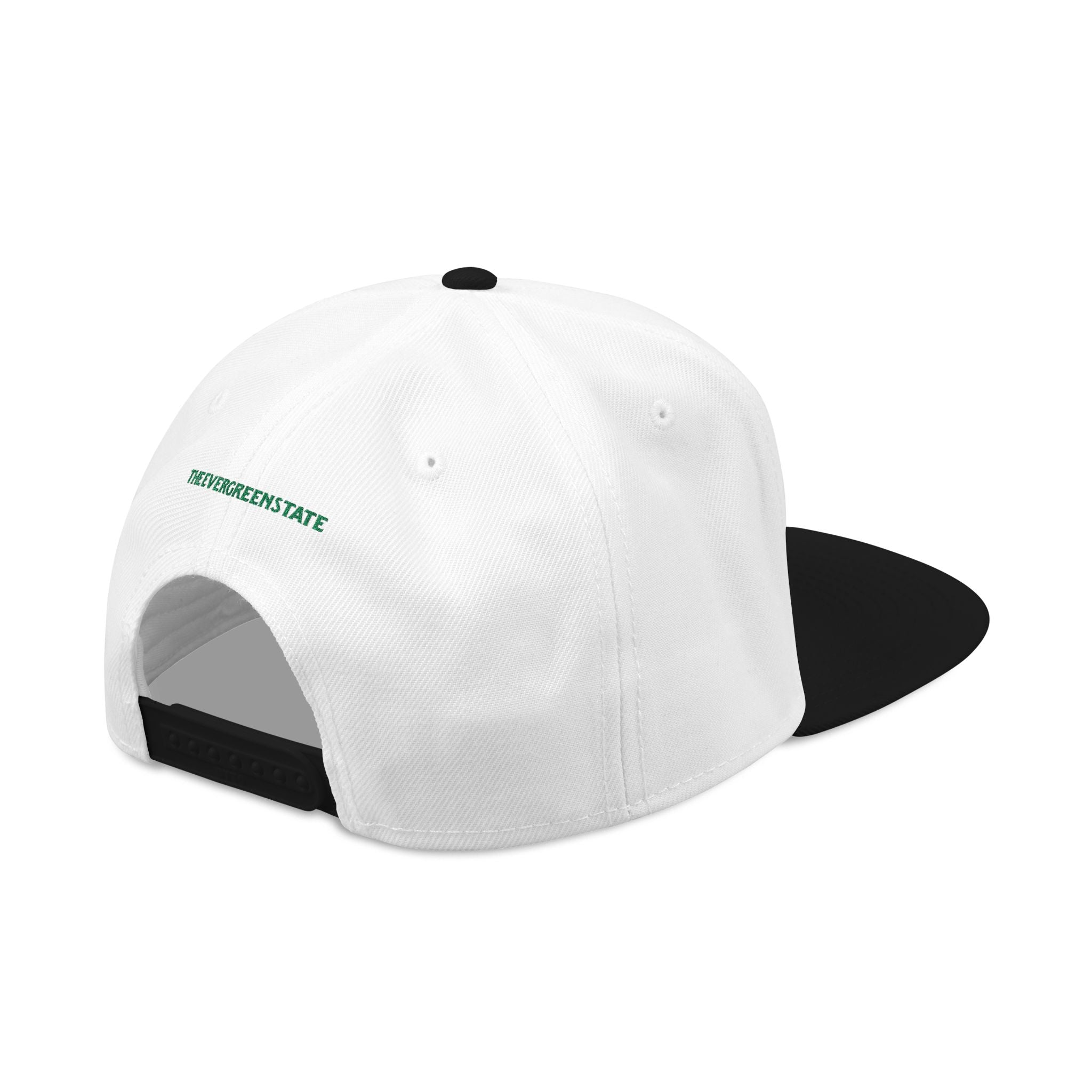 Washington License Plate Snapback Hat — Embroidered "Washington" Ombre Logo