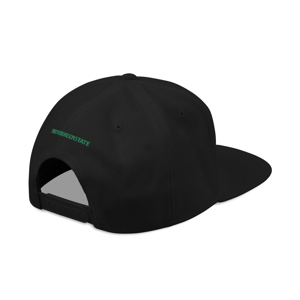 Washington License Plate Snapback Hat — Embroidered "Washington" Ombre Logo