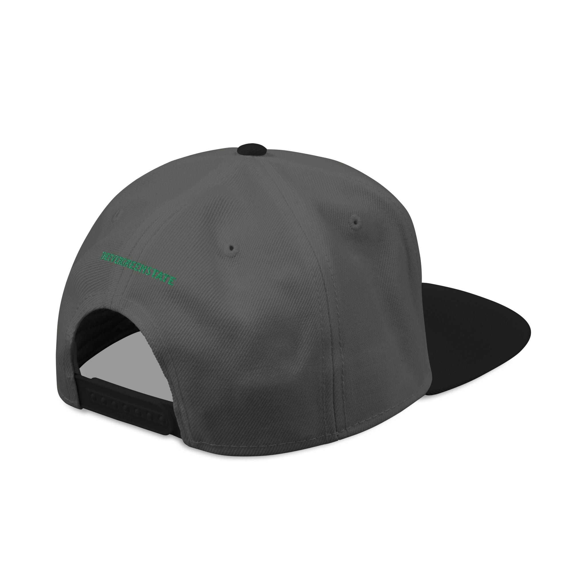 Washington License Plate Snapback Hat — Embroidered "Washington" Ombre Logo