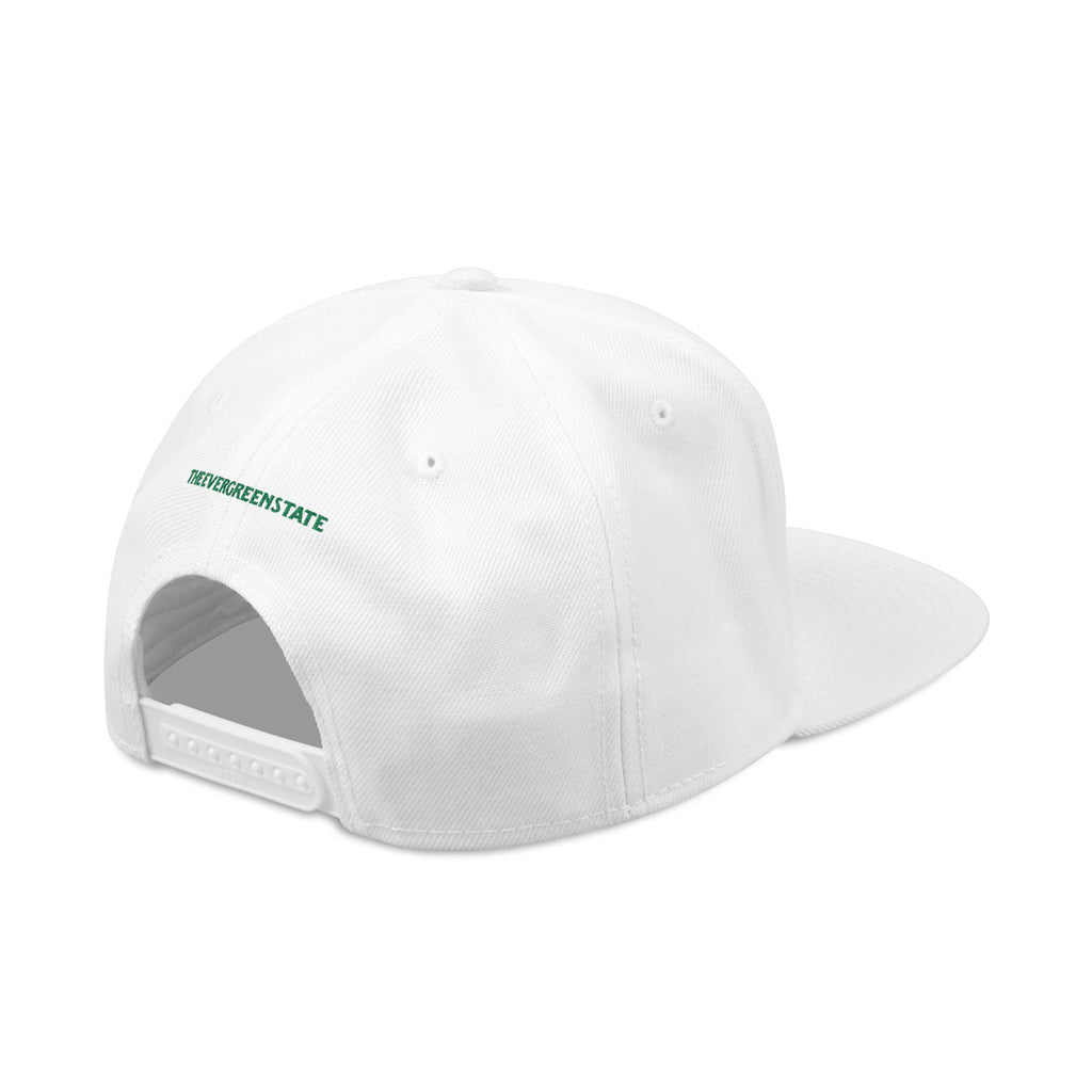 Washington License Plate Snapback Hat — Embroidered "Washington" Ombre Logo