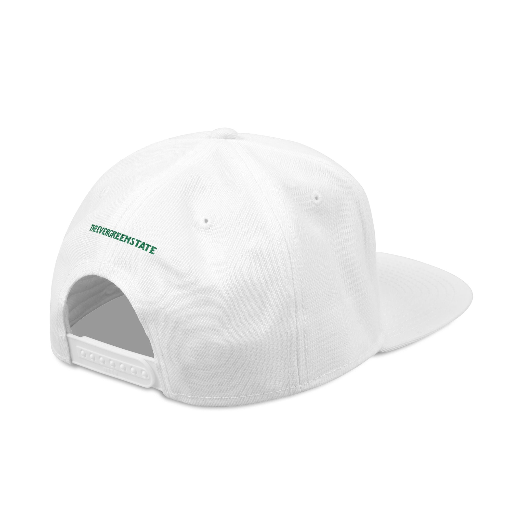 Washington License Plate Snapback Hat — Embroidered "Washington" Ombre Logo
