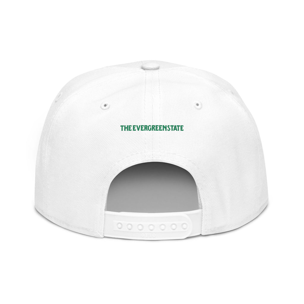 Washington License Plate Snapback Hat — Embroidered "Washington" Ombre Logo