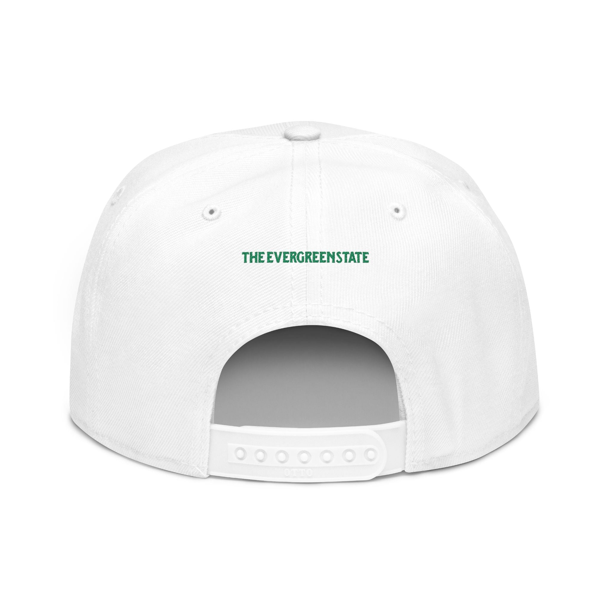 Washington License Plate Snapback Hat — Embroidered "Washington" Ombre Logo