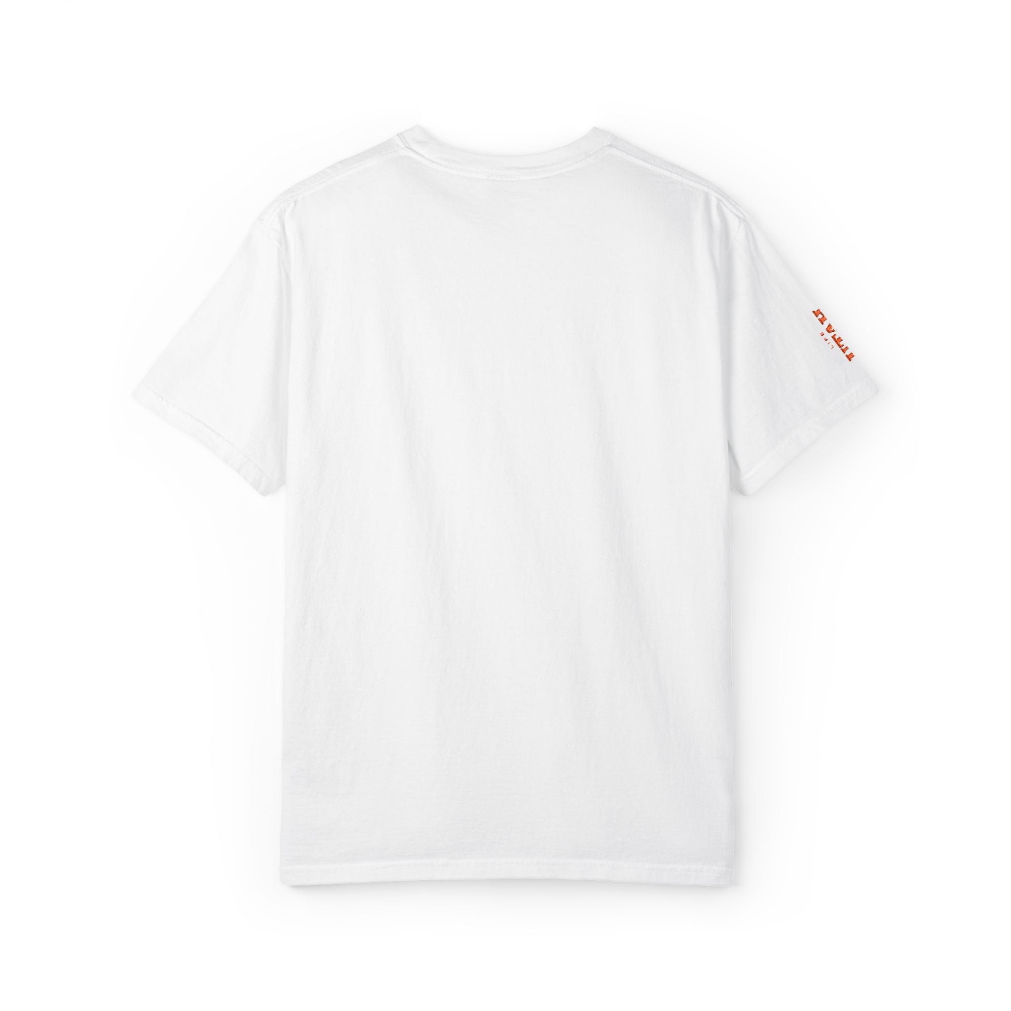 Delicate Arch T-Shirt — Life Elevated Graphic Tee
