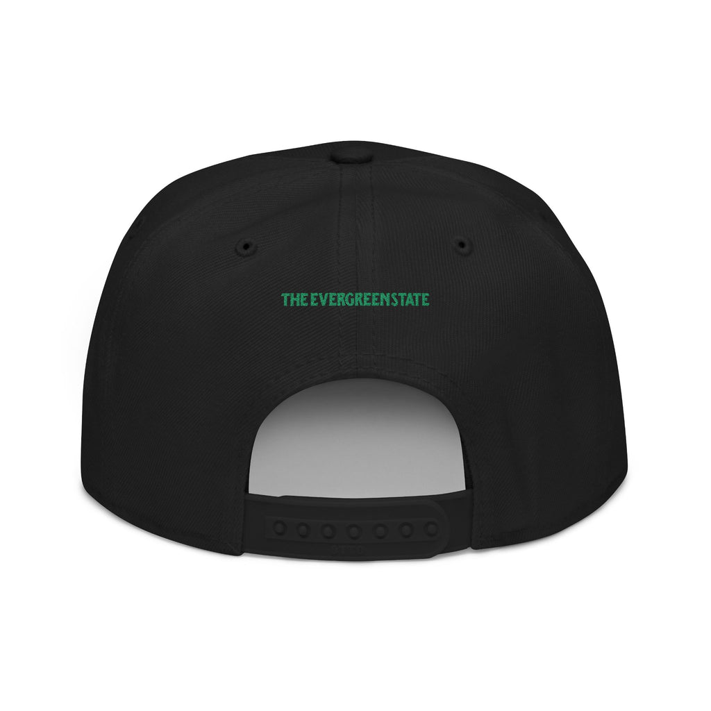 Washington License Plate Snapback Hat — Embroidered "Washington" Ombre Logo